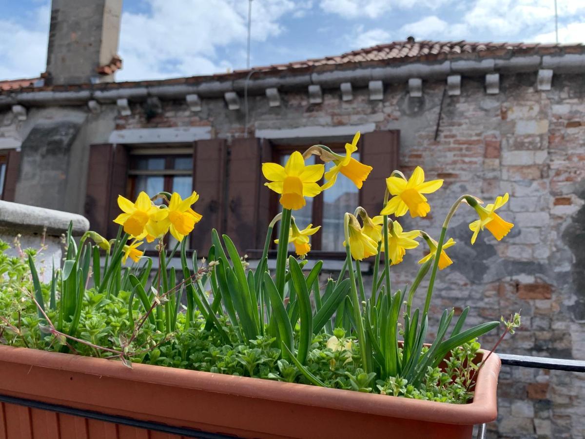 Rooftop Terrace Domus Dei Fabbri Venecia Exterior foto